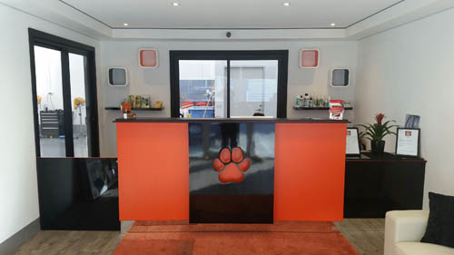 Jo's Pampered Pets Reception Area